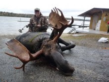 Ontario Moose Hunting Guides  Record Bull Moose Hunting Services